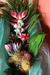 Tropicals Box with Protea (12 stems)