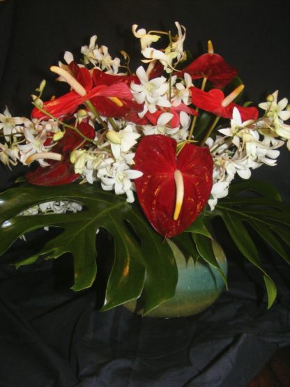 Valentines Day Special